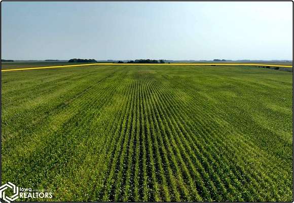 130.27 Acres of Agricultural Land for Auction in Morgan, Minnesota