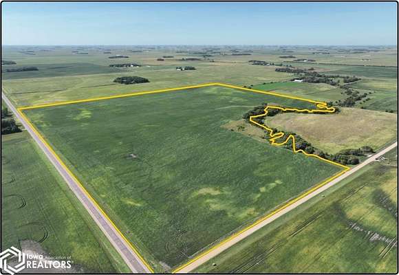 129.9 Acres of Agricultural Land for Auction in Trimont, Minnesota