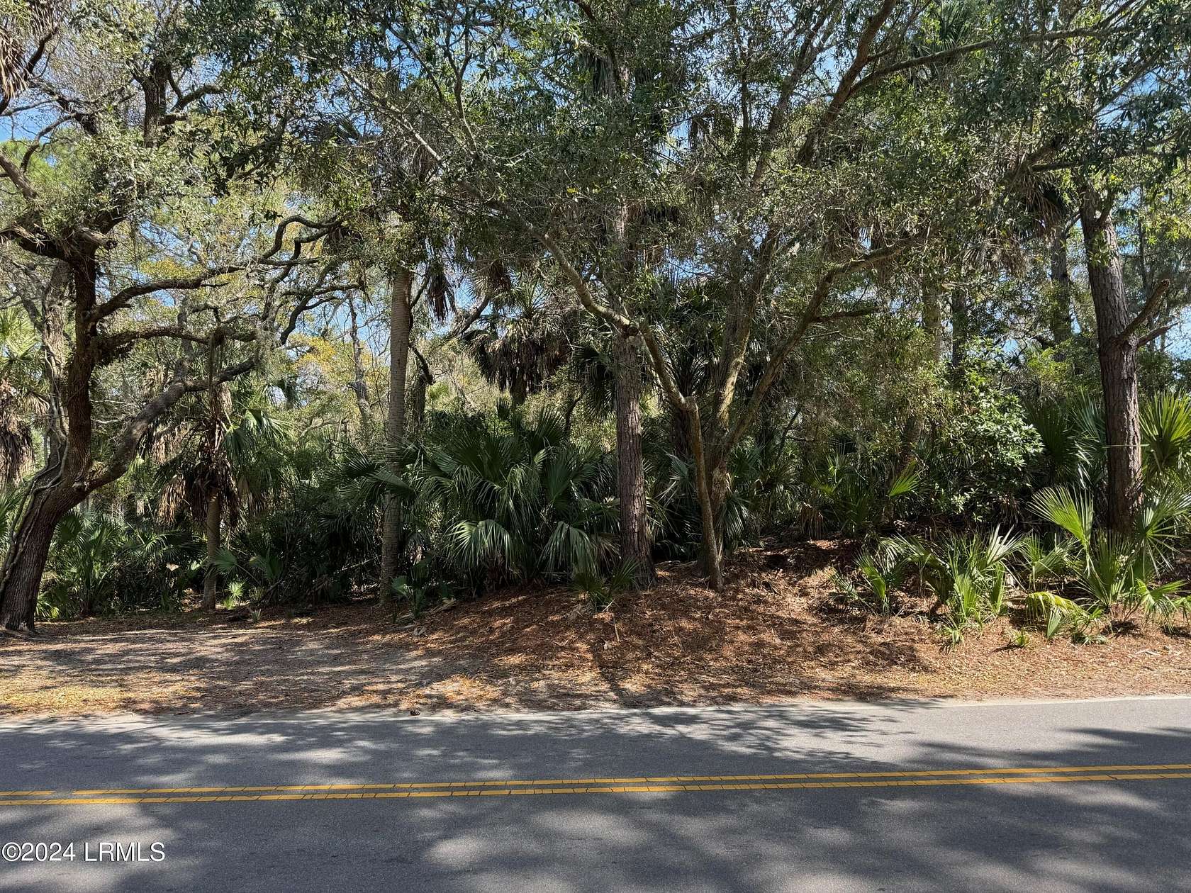 0.29 Acres of Residential Land for Sale in Fripp Island, South Carolina