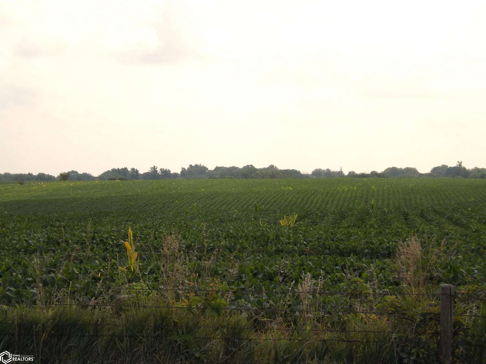 80 Acres of Agricultural Land for Sale in Keswick, Iowa