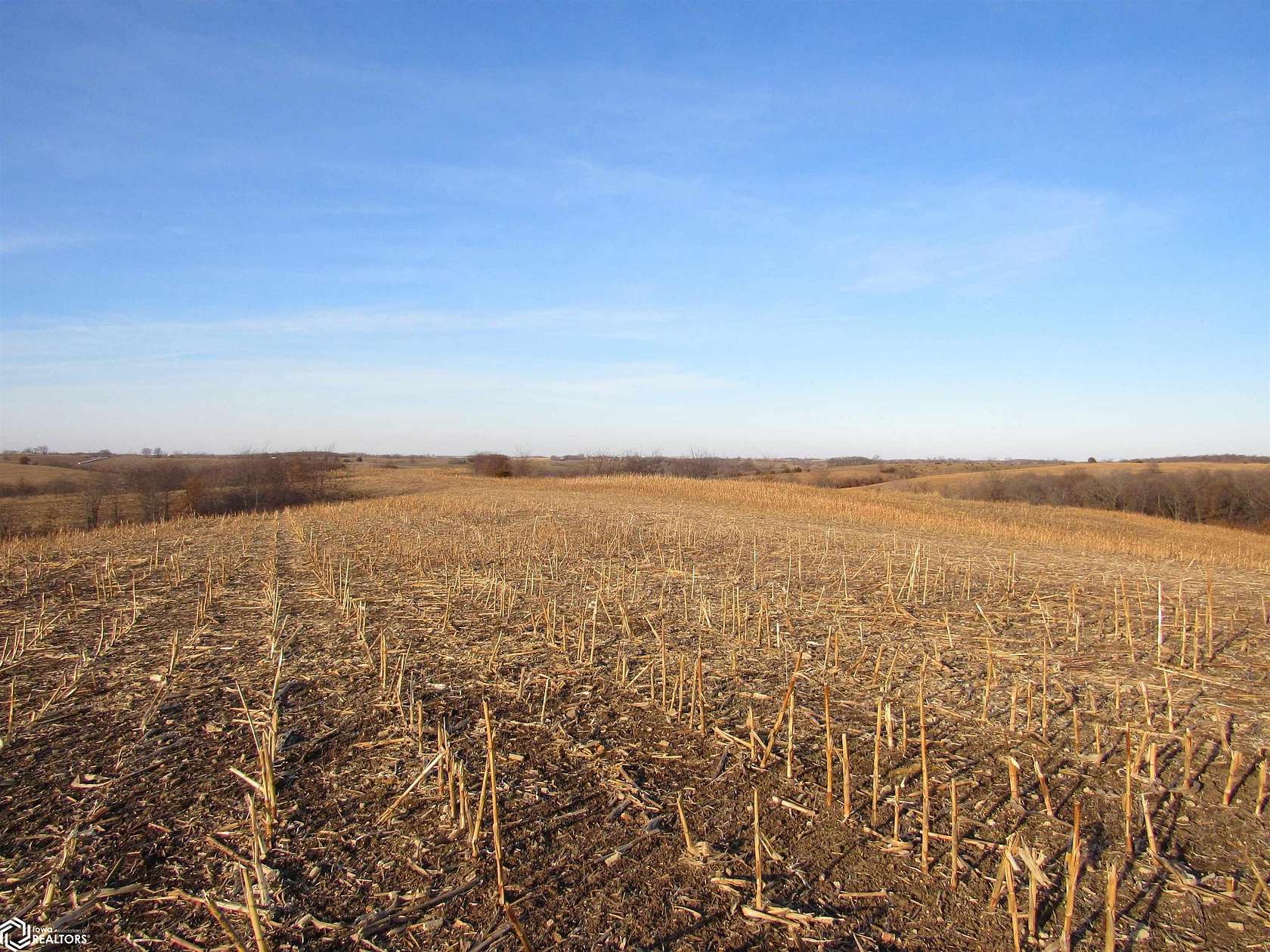 300 Acres of Recreational Land & Farm for Sale in Bloomfield, Iowa