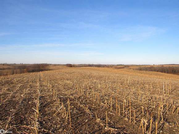 300 Acres of Recreational Land & Farm for Sale in Bloomfield, Iowa