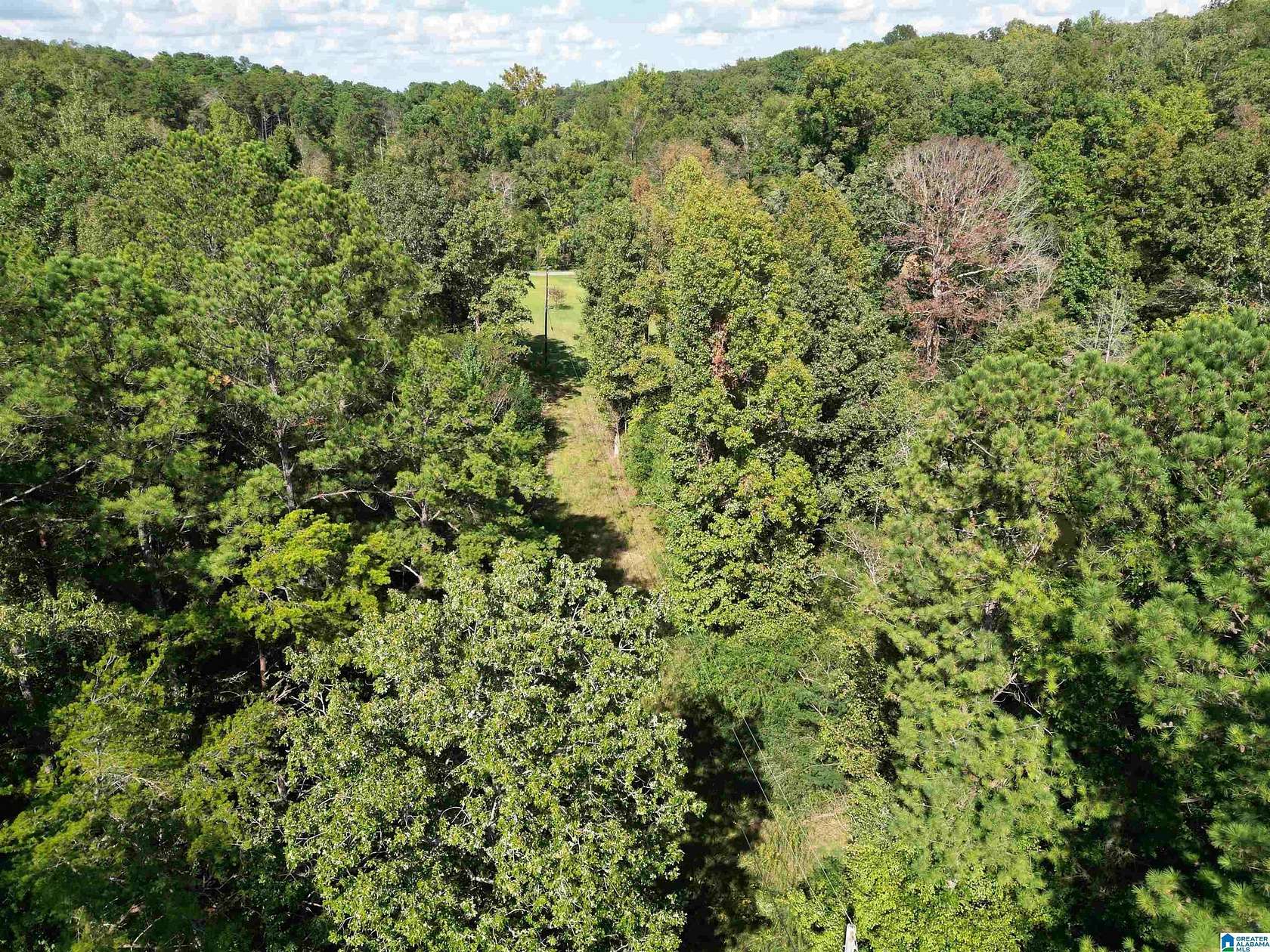 17 Acres of Land for Sale in Pinson, Alabama