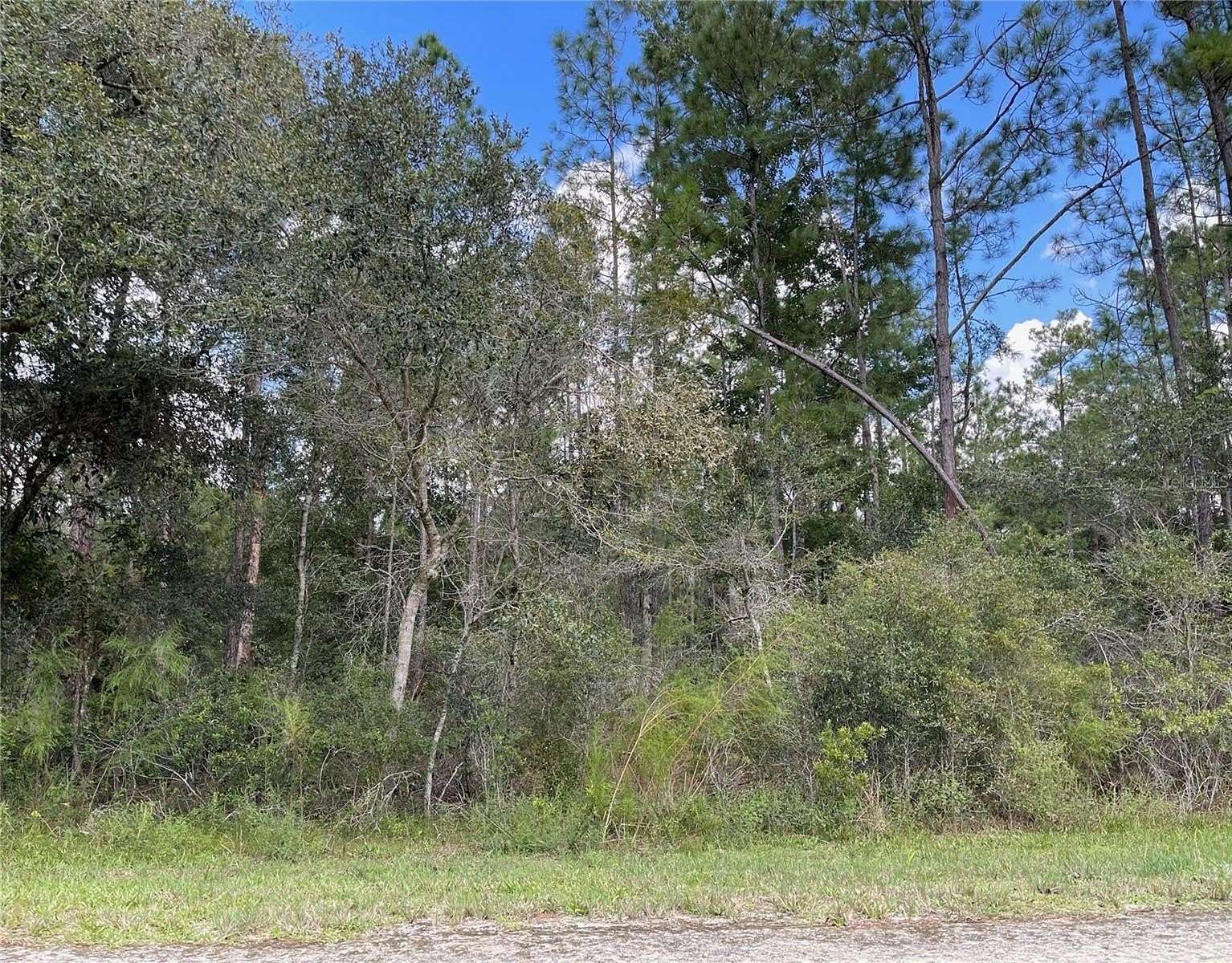 1.16 Acres of Residential Land for Sale in Webster, Florida