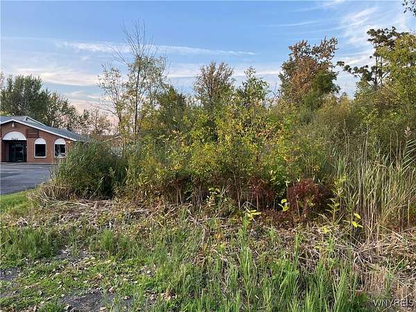 0.9 Acres of Land for Sale in Niagara Falls, New York