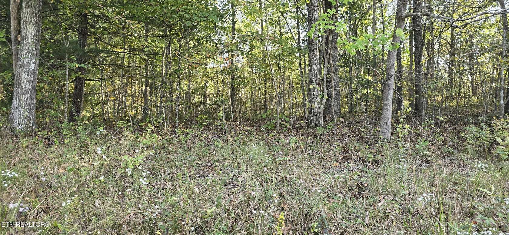 0.25 Acres of Land for Sale in Crossville, Tennessee