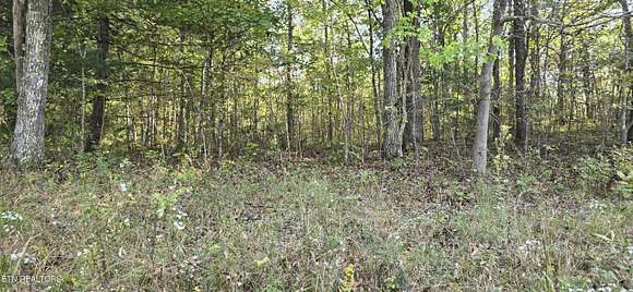 0.25 Acres of Land for Sale in Crossville, Tennessee