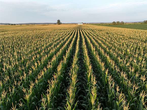 137.73 Acres of Agricultural Land for Auction in Washington Township, Iowa