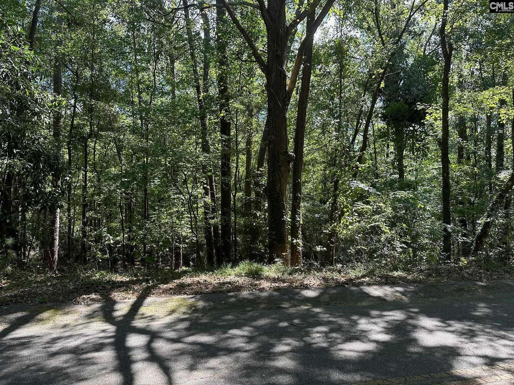 1 Acre of Residential Land for Sale in Columbia, South Carolina