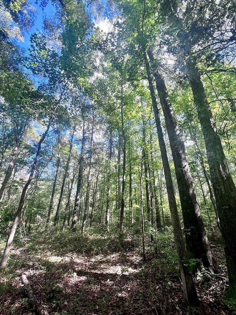 9.94 Acres of Residential Land for Sale in Ariton, Alabama