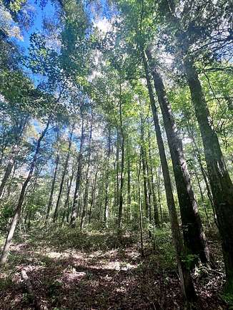 9.94 Acres of Residential Land for Sale in Ariton, Alabama