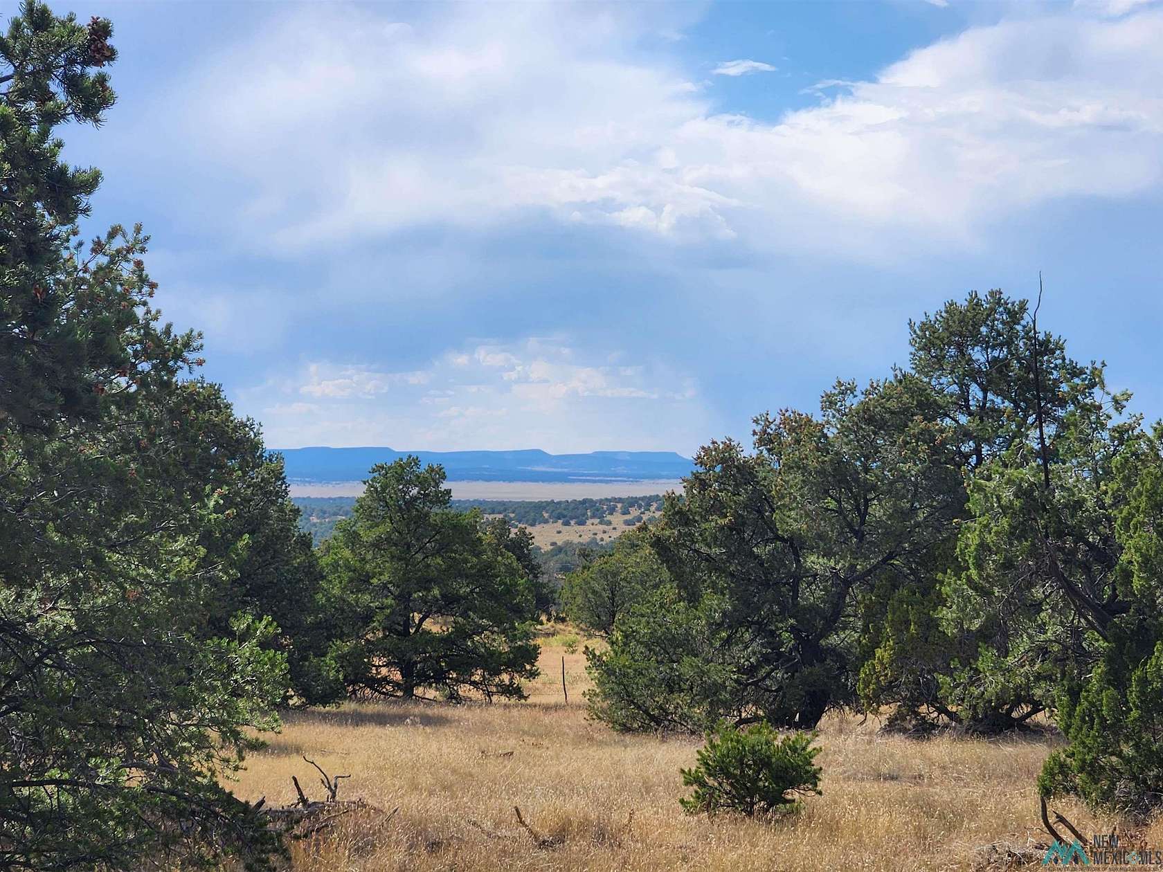 15.7 Acres of Land for Sale in Pie Town, New Mexico