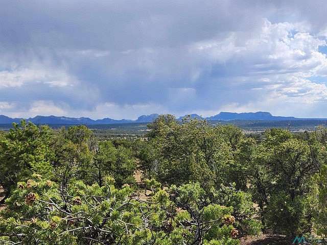 15.7 Acres of Land for Sale in Pie Town, New Mexico
