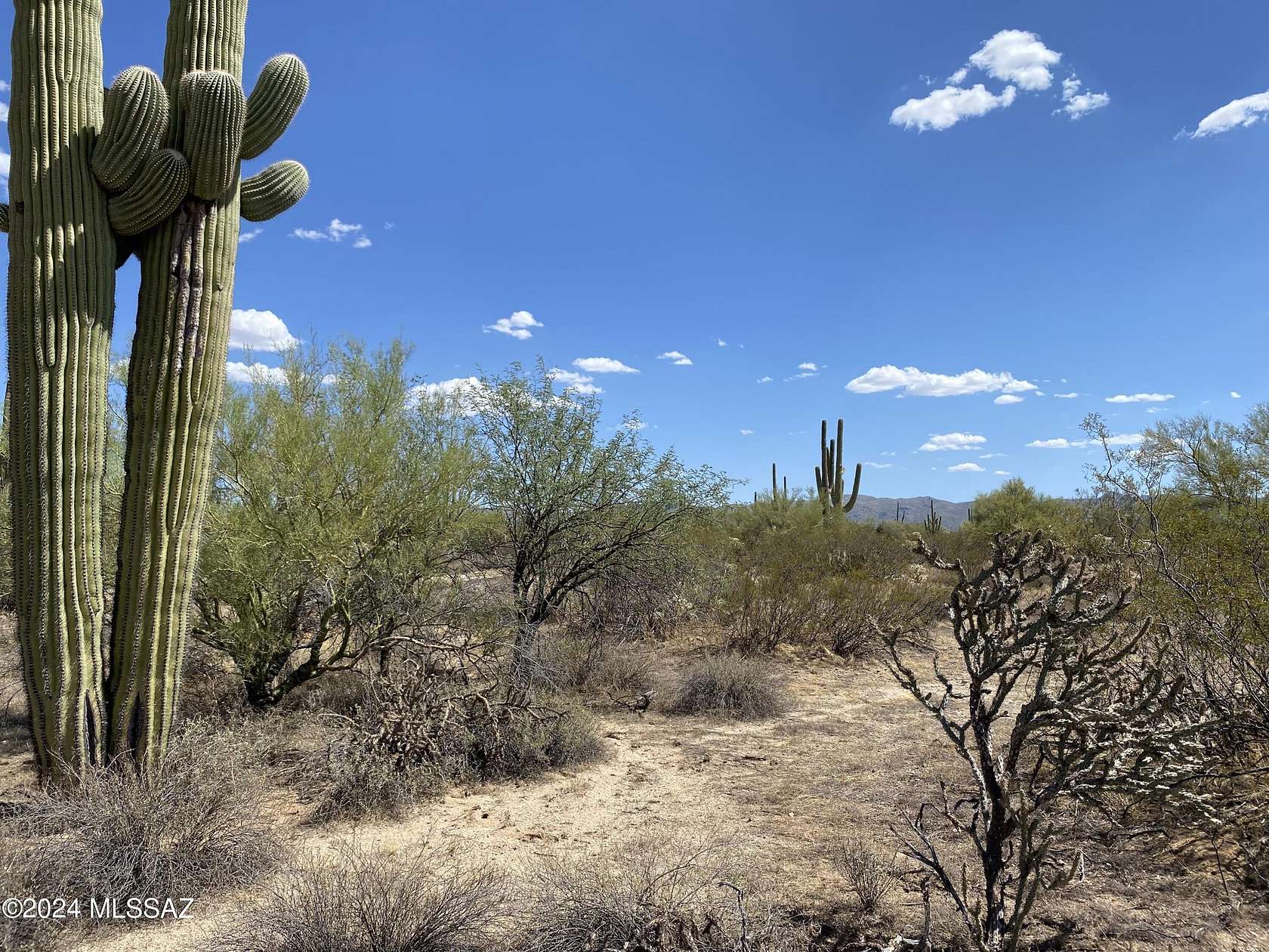 40 Acres of Recreational Land for Sale in Marana, Arizona