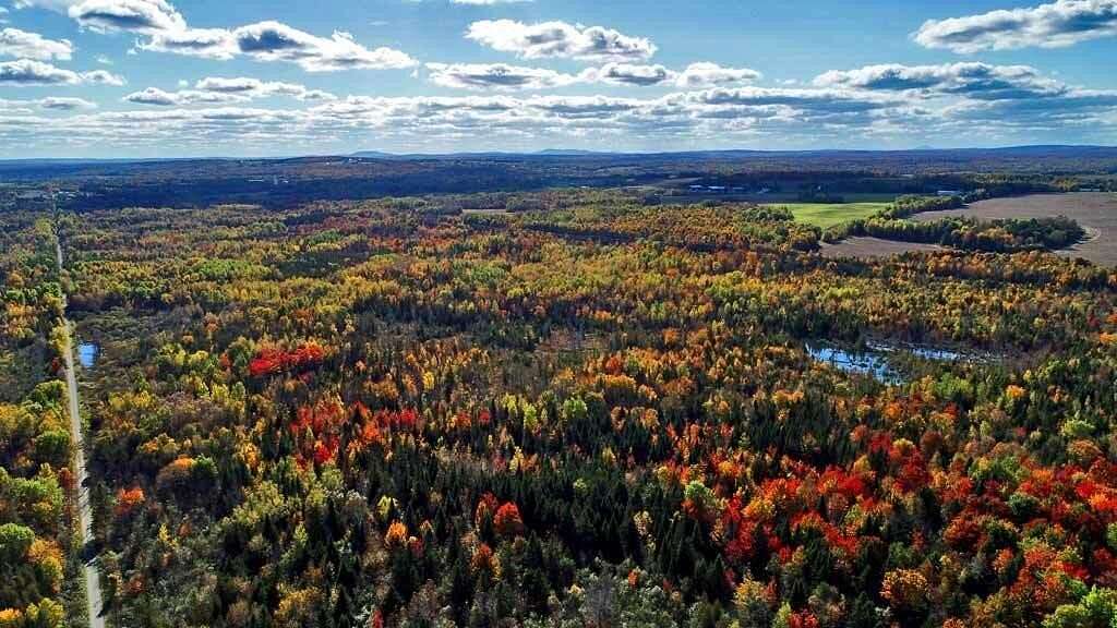 80 Acres of Recreational Land & Farm for Sale in Littleton, Maine