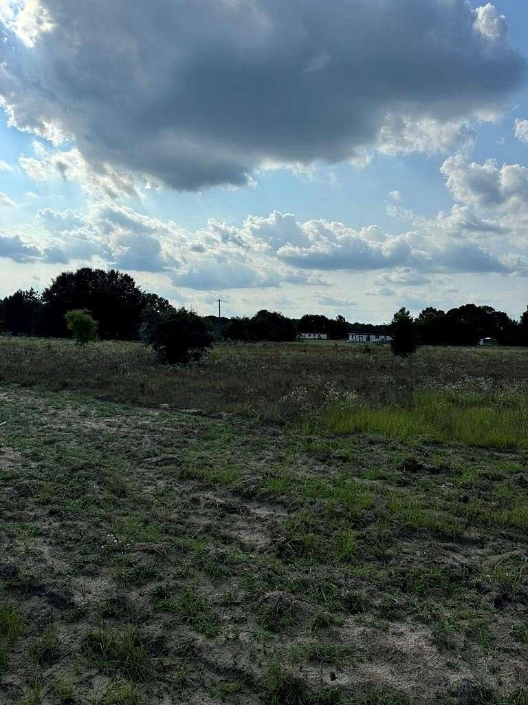 13 Acres of Land for Sale in Wedgefield, South Carolina