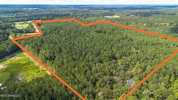 100.3 Acres of Recreational Land for Sale in Lumberton, Mississippi