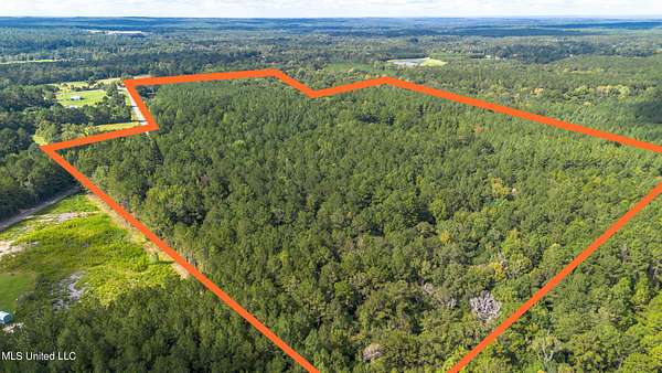100 Acres of Recreational Land for Sale in Lumberton, Mississippi
