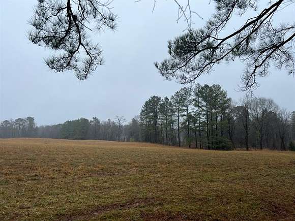 128.44 Acres of Improved Land for Sale in Clarksville, Texas