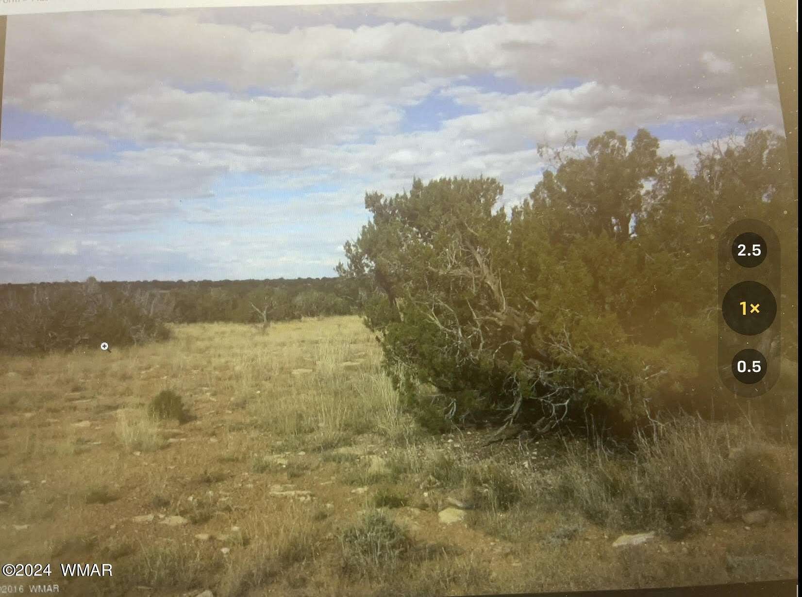 40.03 Acres of Land for Sale in Heber, Arizona