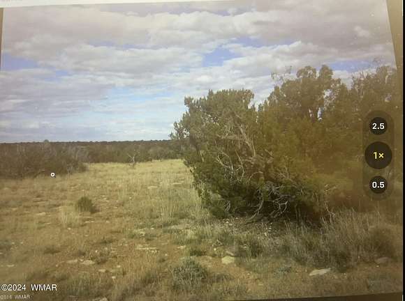 40.03 Acres of Land for Sale in Heber, Arizona