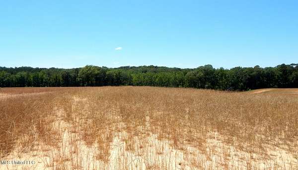 8.9 Acres of Residential Land for Sale in Grenada, Mississippi