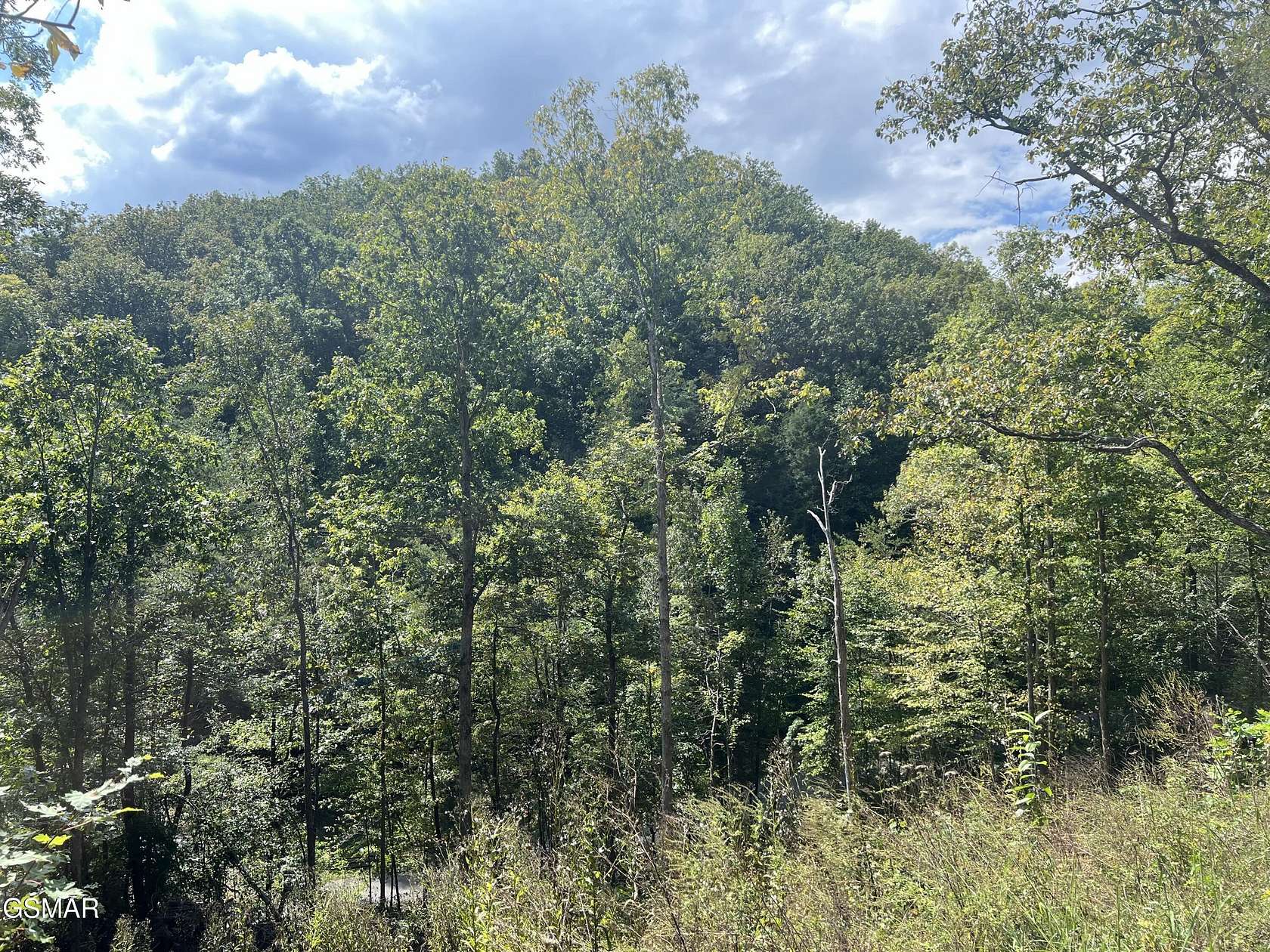 0.45 Acres of Residential Land for Sale in Cosby, Tennessee