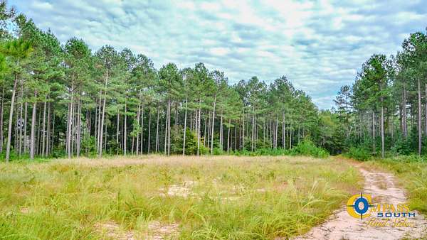 226 Acres of Recreational Land for Sale in Union, South Carolina