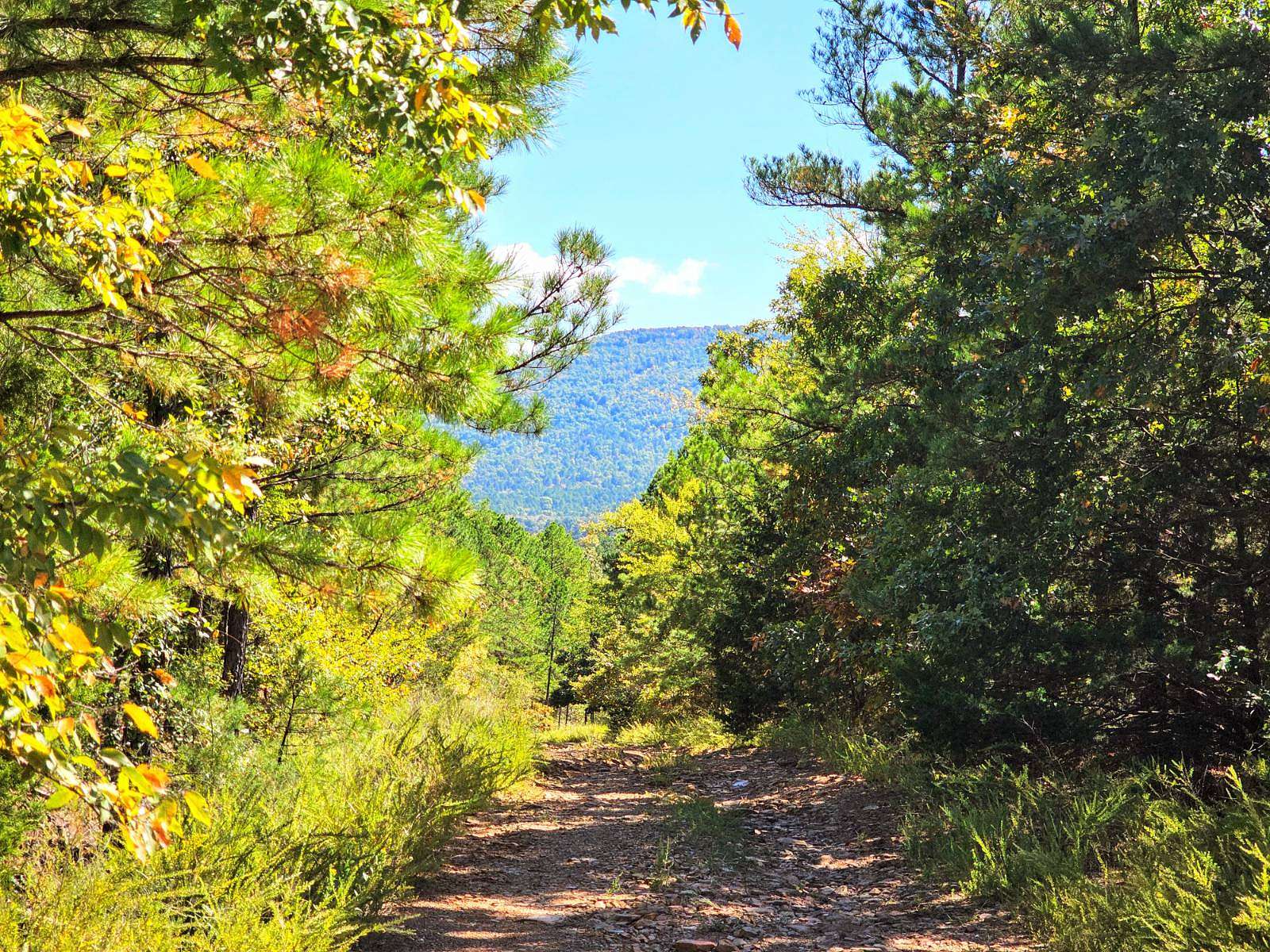 158.54 Acres of Recreational Land for Sale in Red Oak, Oklahoma