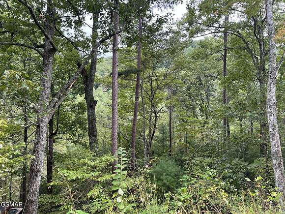 0.73 Acres of Residential Land for Sale in Sevierville, Tennessee