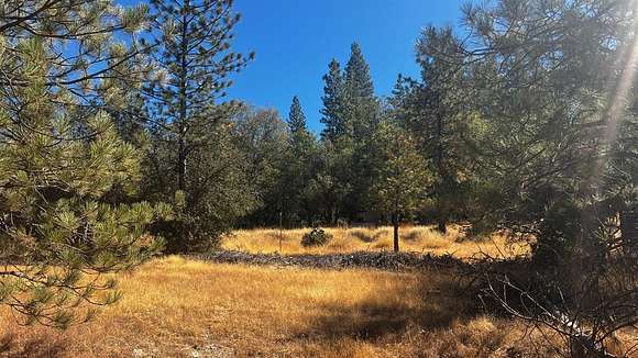 2.45 Acres of Residential Land for Sale in Rail Road Flat, California