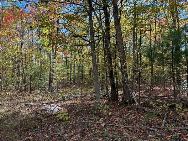 80 Acres of Recreational Land for Sale in Presque Isle, Michigan