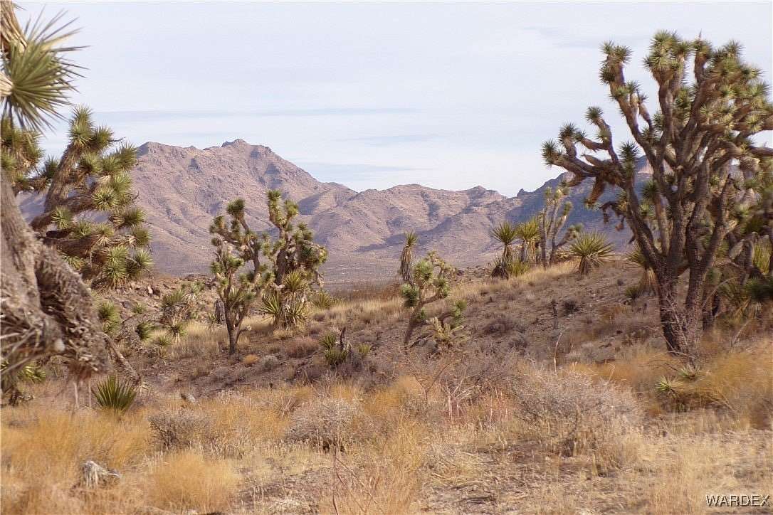 37.5 Acres of Land for Sale in Dolan Springs, Arizona