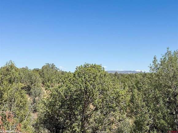 40 Acres of Land for Sale in Hesperus, Colorado