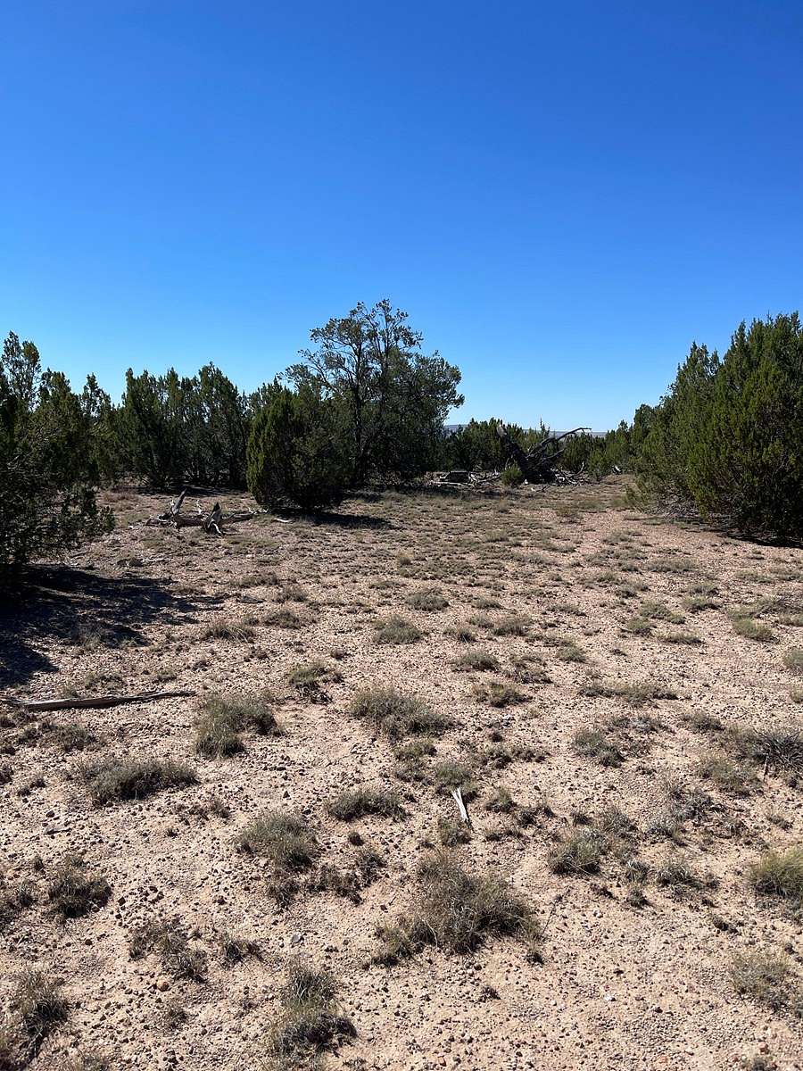 38.87 Acres of Land for Sale in Seligman, Arizona