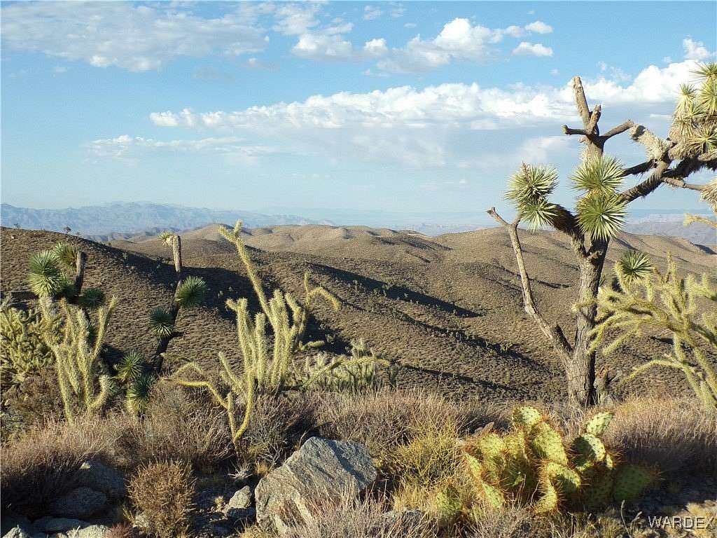 20 Acres of Land for Sale in White Hills, Arizona