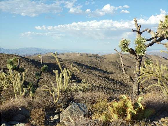 20 Acres of Recreational Land & Farm for Sale in White Hills, Arizona