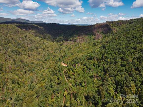 341.95 Acres of Recreational Land for Sale in Millers Creek, North Carolina