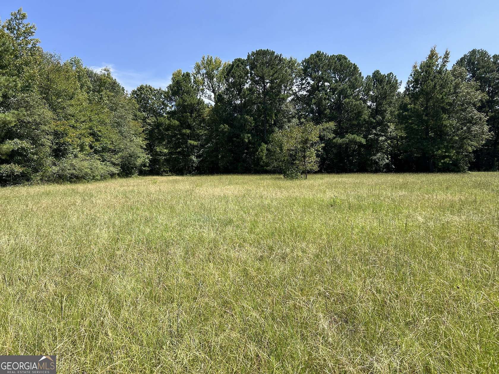 59.289 Acres of Land for Sale in Greensboro, Georgia