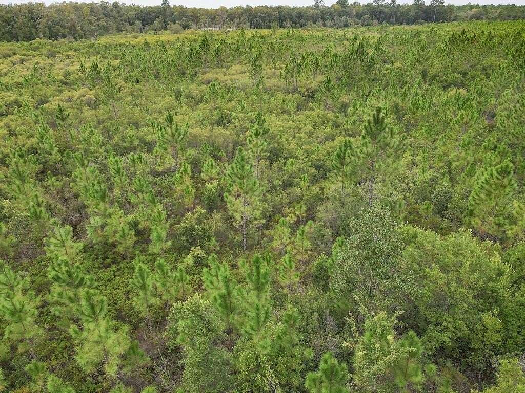 40.134 Acres of Recreational Land for Sale in Carrabelle, Florida