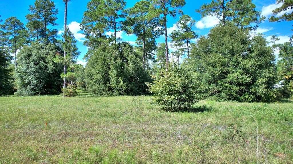 0.81 Acres of Residential Land for Sale in Cordele, Georgia