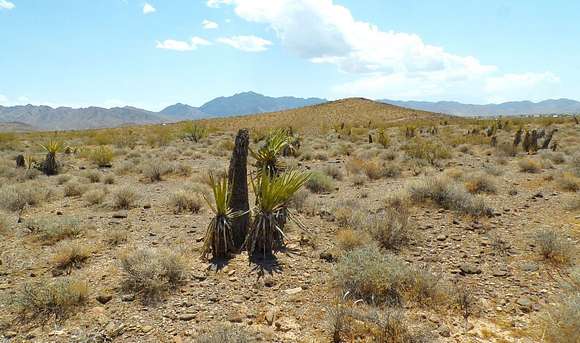 1 Acre of Residential Land for Sale in Dolan Springs, Arizona