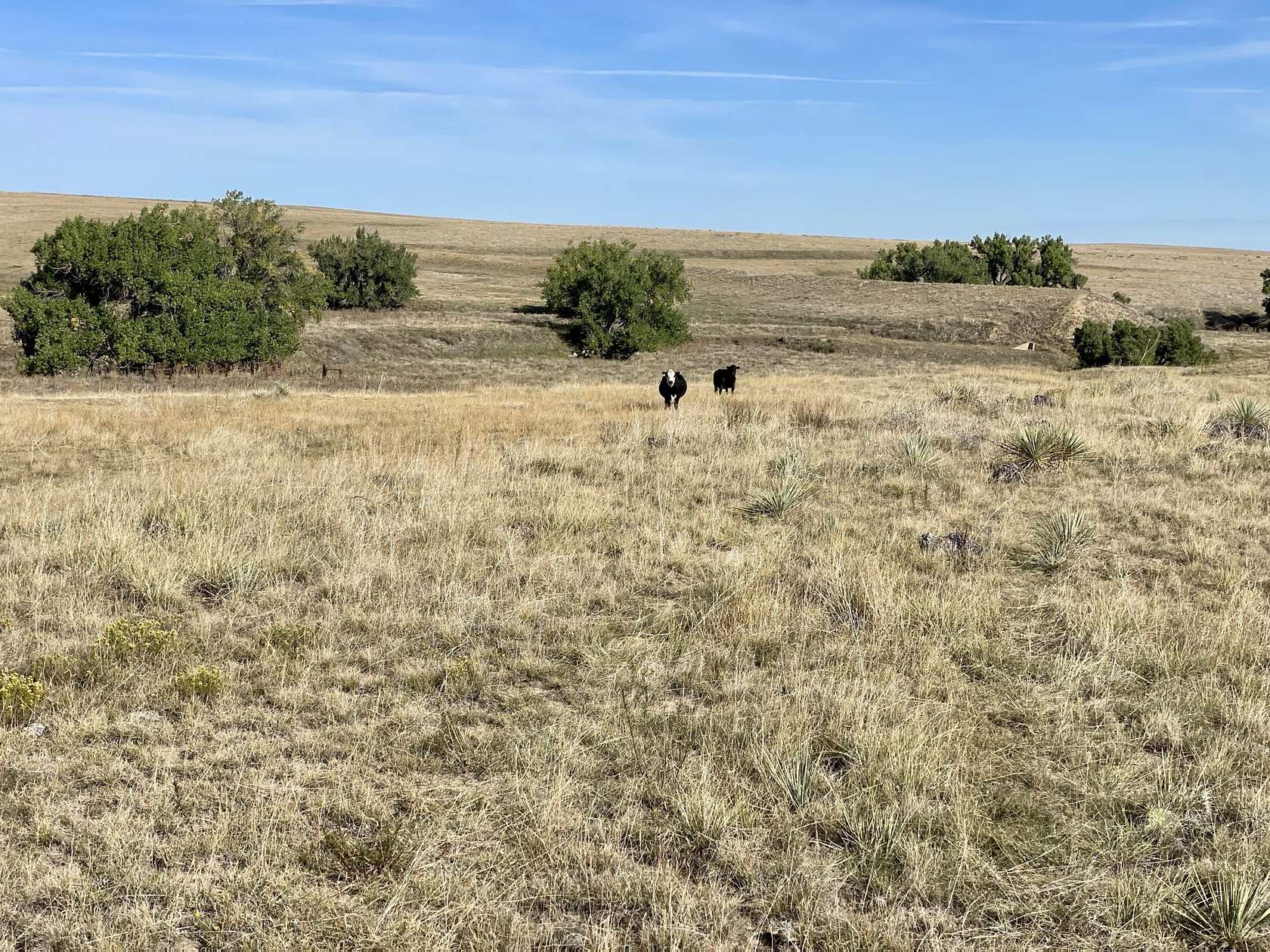 35 Acres of Recreational Land for Sale in Deer Trail, Colorado