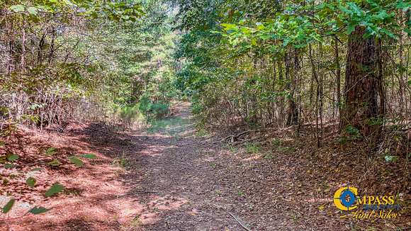 42 Acres of Recreational Land for Sale in Montrose, Arkansas