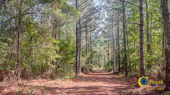 98 Acres of Recreational Land for Sale in Montrose, Arkansas