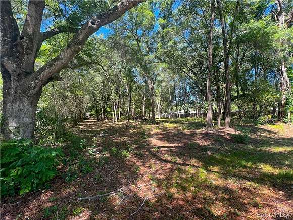 0.33 Acres of Residential Land for Sale in Inverness, Florida