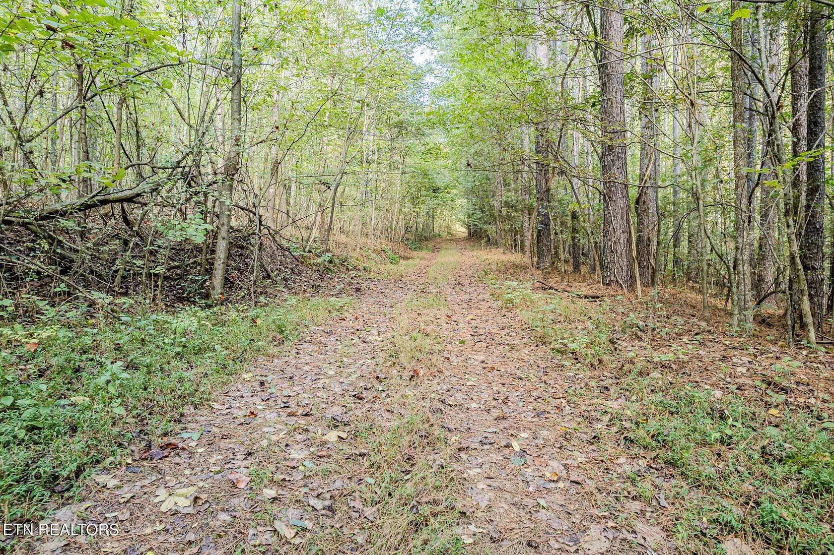 38 Acres of Recreational Land for Sale in Delano, Tennessee