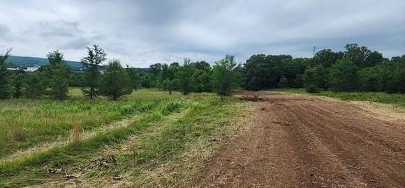 113 Acres of Land for Sale in Huntsville, Arkansas