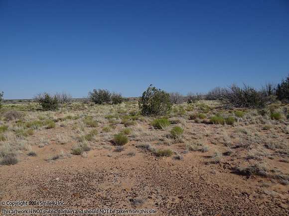 1.25 Acres of Residential Land for Sale in Winslow, Arizona