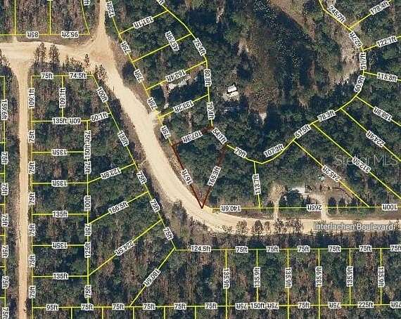 0.29 Acres of Residential Land for Sale in Interlachen, Florida